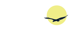 Moonbird Studios, Website Design Newport RI